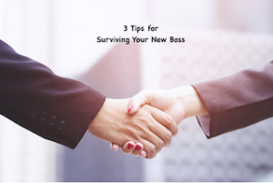 3 Tips For Surviving Your New Boss